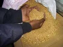 Oferecemos a venda de ouro em pó e lingotes
